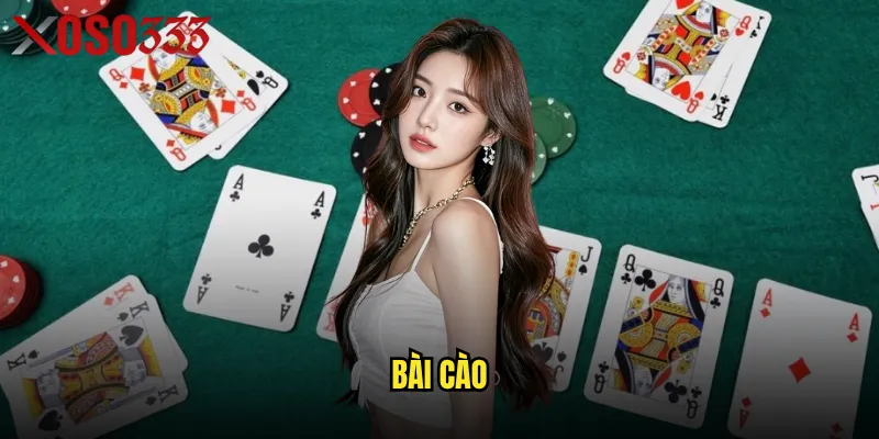 Bài cào