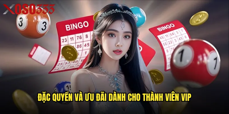 Đặc quyền và ưu đãi dành cho thành viên VIP