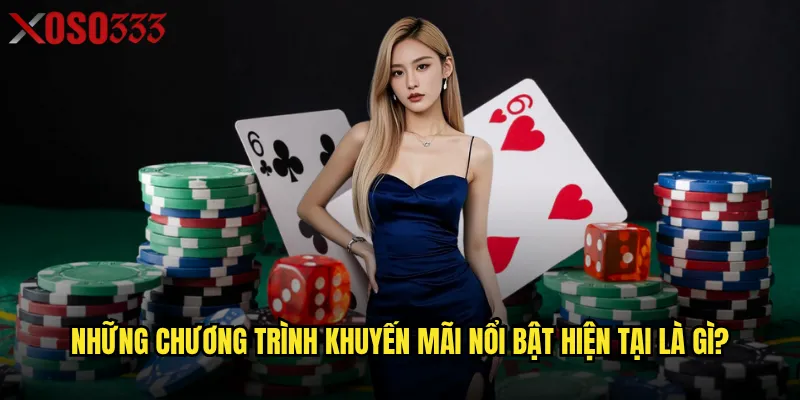 Những chương trình khuyến mãi nổi bật hiện tại là gì?