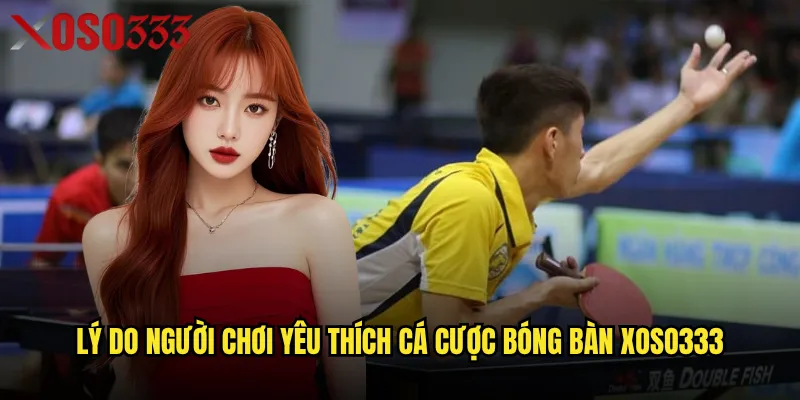 Lý do người chơi yêu thích cá cược bóng bàn Xoso333