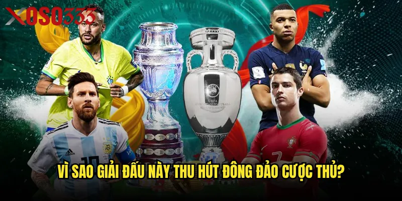 Vì sao giải đấu này thu hút đông đảo cược thủ?