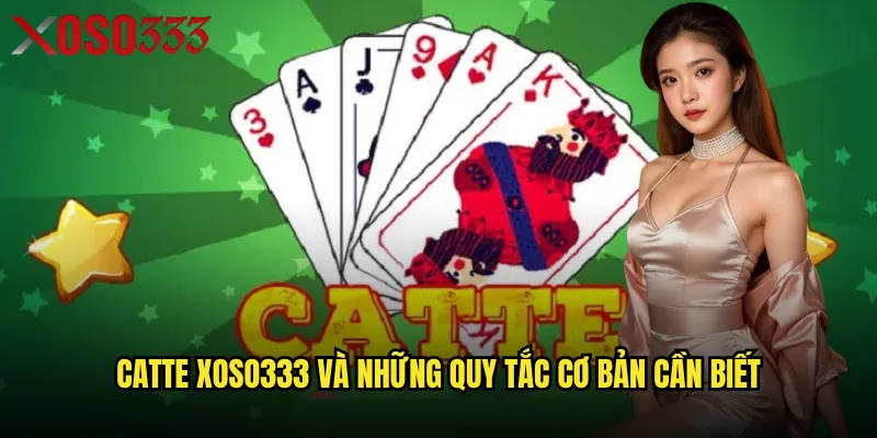 Catte Xoso333 và những quy tắc cơ bản cần biết