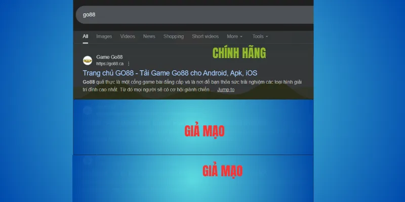 Kiểm tra thông tin giấy phép và công ty